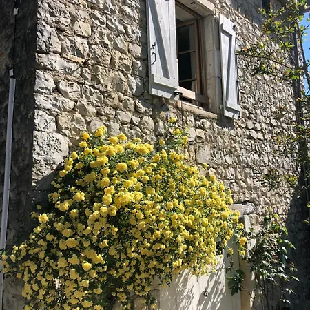 Des Pins * Saint-Maurice-dʼIbie